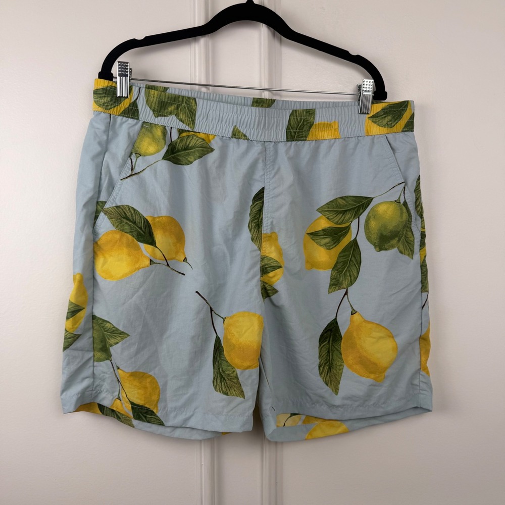 Original Use Mens Lemon Print Swim Trunks Light Blue Mesh Lined Shorts Large